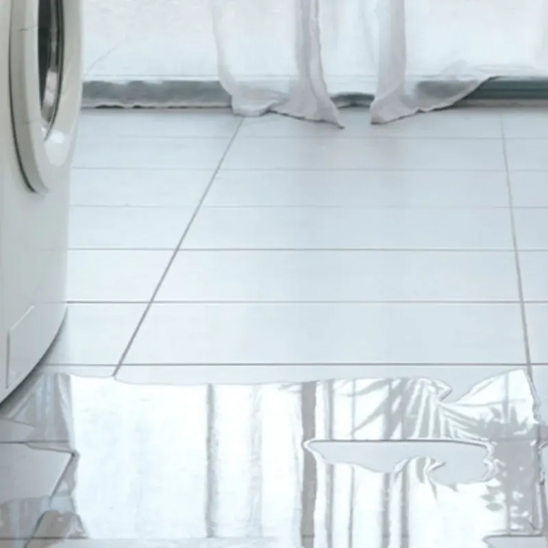 Appliance Leak Cleanup in Four Corners, TX