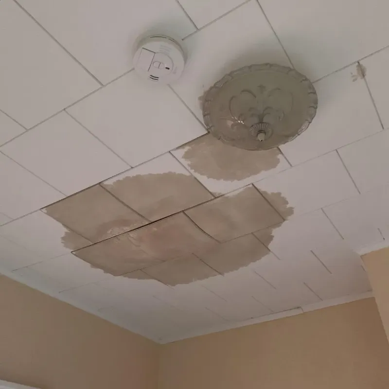Ceiling Water Damage Repair in Four Corners, TX