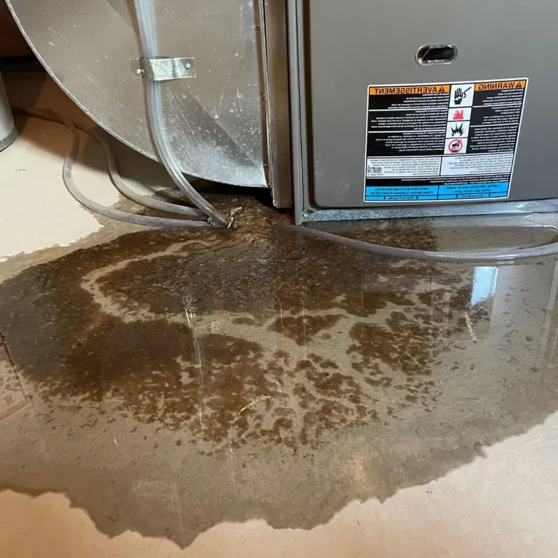 Pipe Burst and Leak Restoration in Four Corners, TX