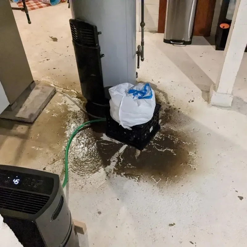Sewage Backup Cleanup Service in Four Corners, TX